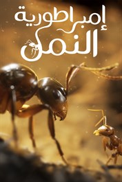 إمبراطورية النمل (Empire of the Ants)