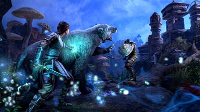 The Elder Scrolls Online screenshot 1