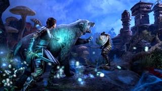The Elder Scrolls Online: Standard Edition screenshot 1
