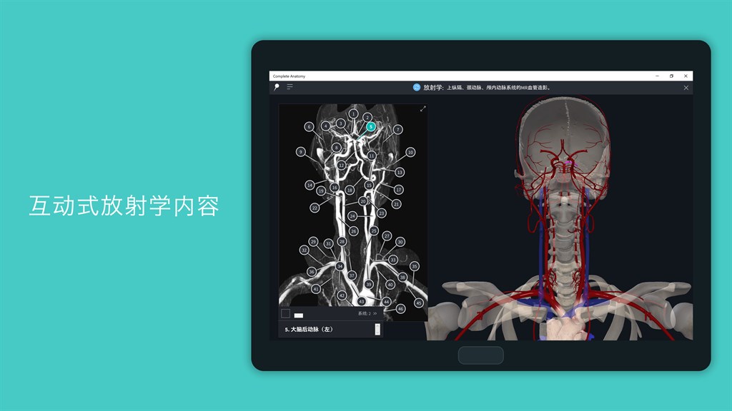 Complete Anatomy 2024 - Microsoft Apps