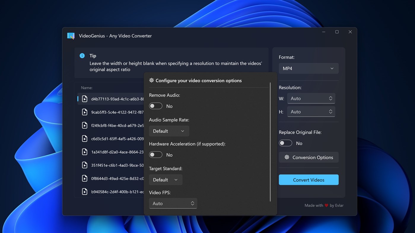 #2. VideoGenius - Any Video Converter (Windows) Av: Evlar