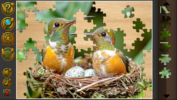 Birds Jigsaw Puzzles for PC — 13