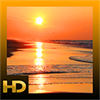 Ocean Sunset HD