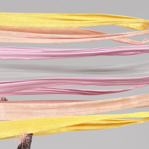Pride – Pangender