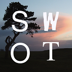 SWOT Chart