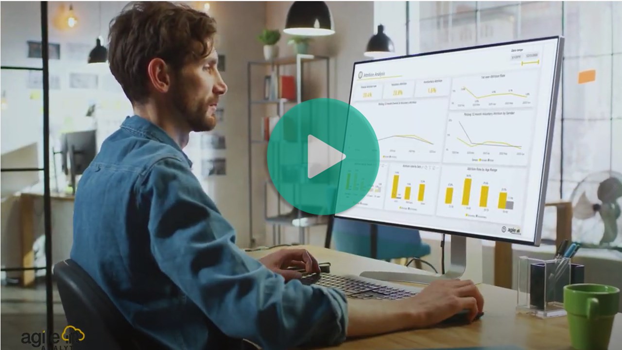 Snapshot 1 of Agile HR & People Analytics - Power BI Dashboards