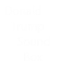 Donald Trump Soundbox