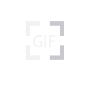 GIF编辑器 - 修改、修饰、水印