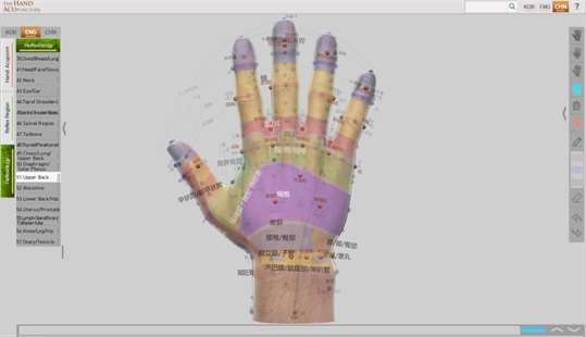 Hand Acupuncture screenshot 2