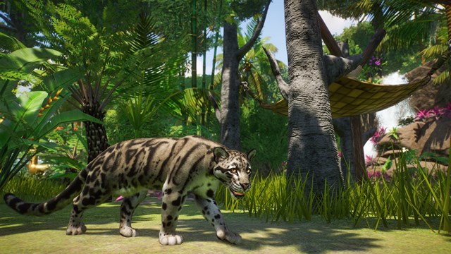 Planet Zoo: Deluxe Upgrade Pack screenshot 1