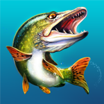 Let's Fish: Sport Fishing