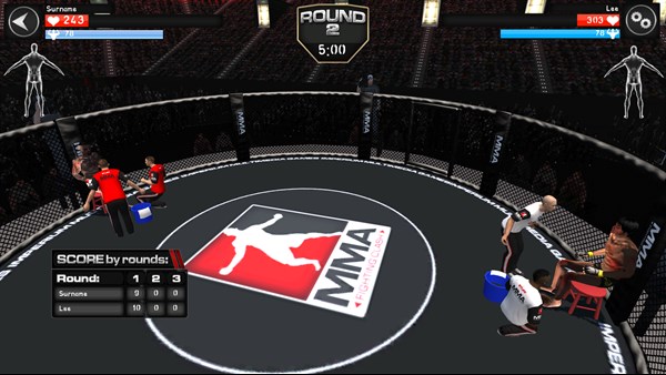 MMA Fighting and UFC Champions Simulator — 14