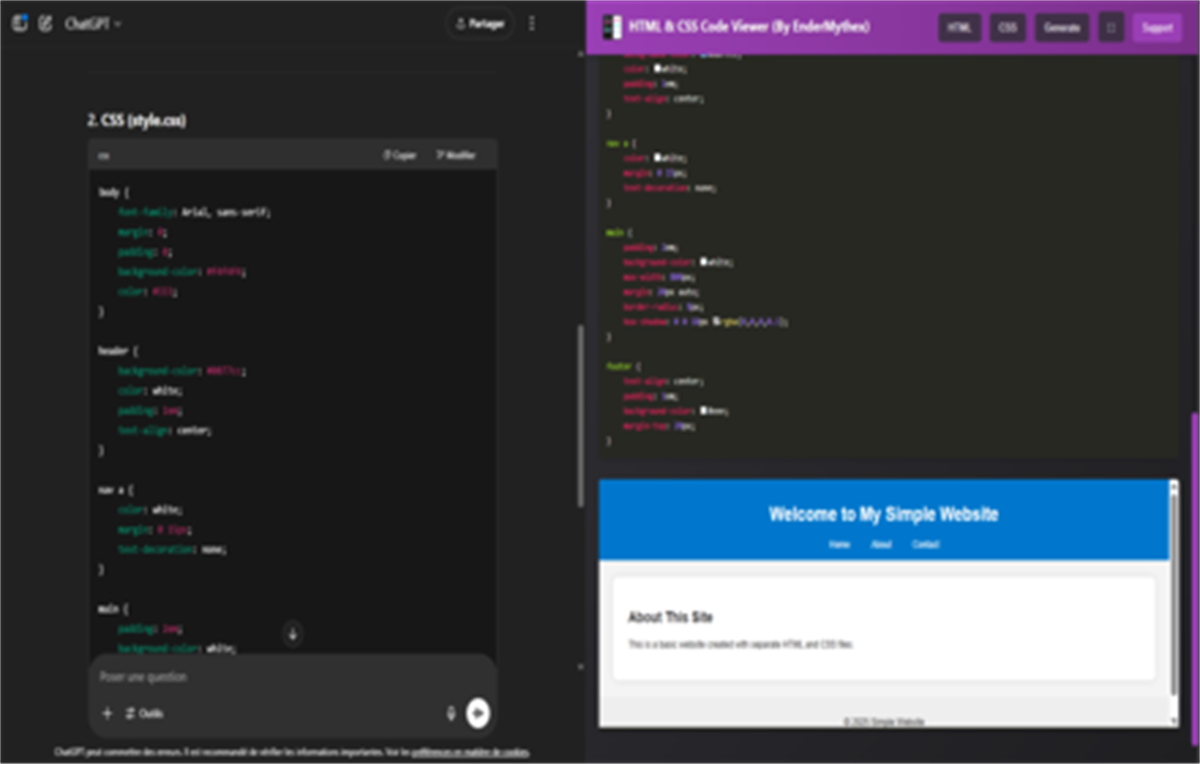 HTML & CSS Code Viewer