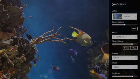 calm Aquarium Screenshots 2
