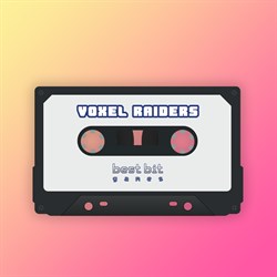 Voxel Raiders