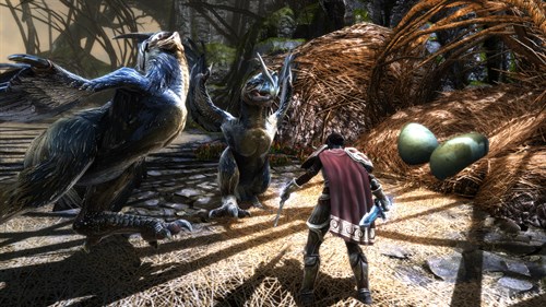 Kingdoms of Amalur: Re-Reckoning - Fate Edition