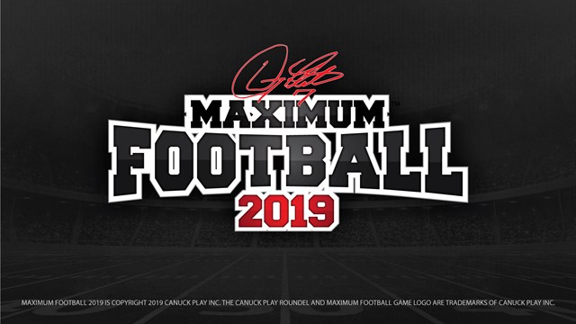 Maximum Football 2019 screenshot 1