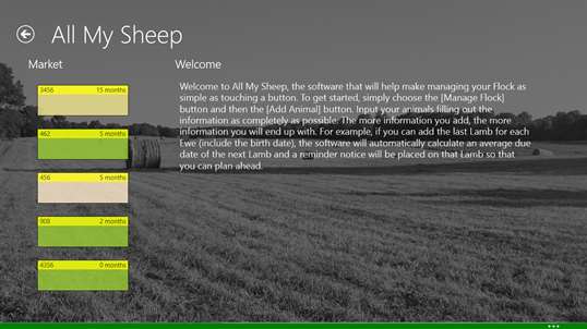 All My Sheep screenshot 7