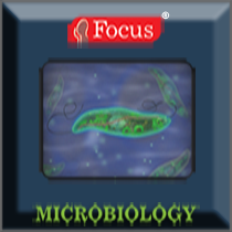 Microbiology - Dictionary