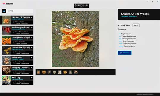 Mushroom Identification screenshot 1