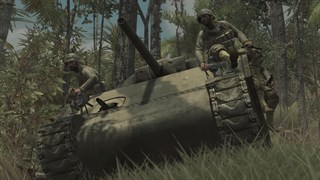 Call of Duty®: World at War (2008) screenshot 2
