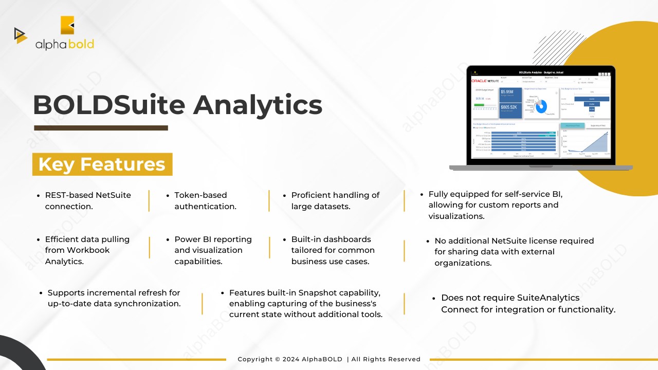 Snapshot 1 of BOLDSuite Analytics: NetSuite & Power BI Connector Implementation