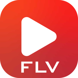 FLV Player+ - FLV to MP4