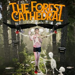 Aperçu The Forest Cathedral