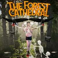The Forest Cathedral