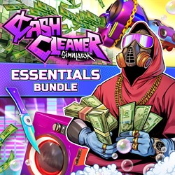 Cash Cleaner Simulator: The Essentials