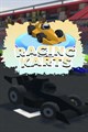 Racing Karts