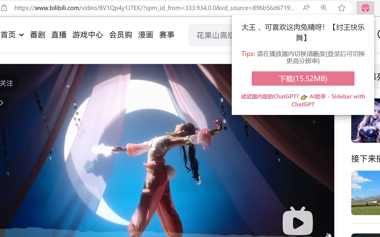 b站视频专业下载工具