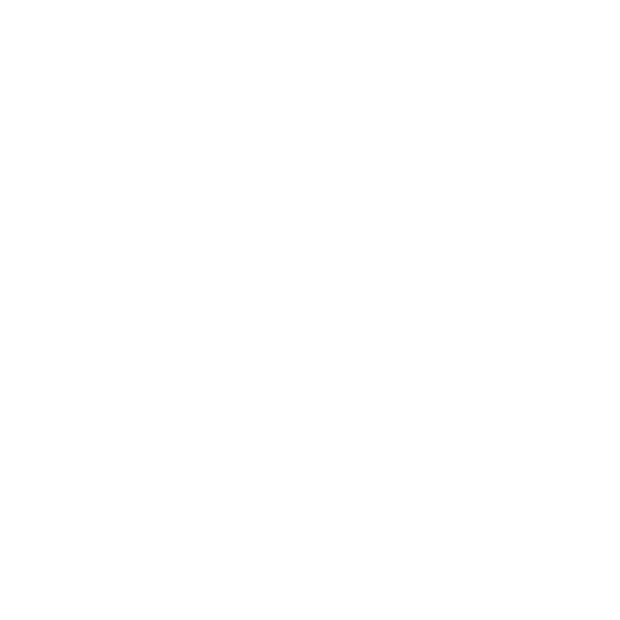 Flashlight⁺