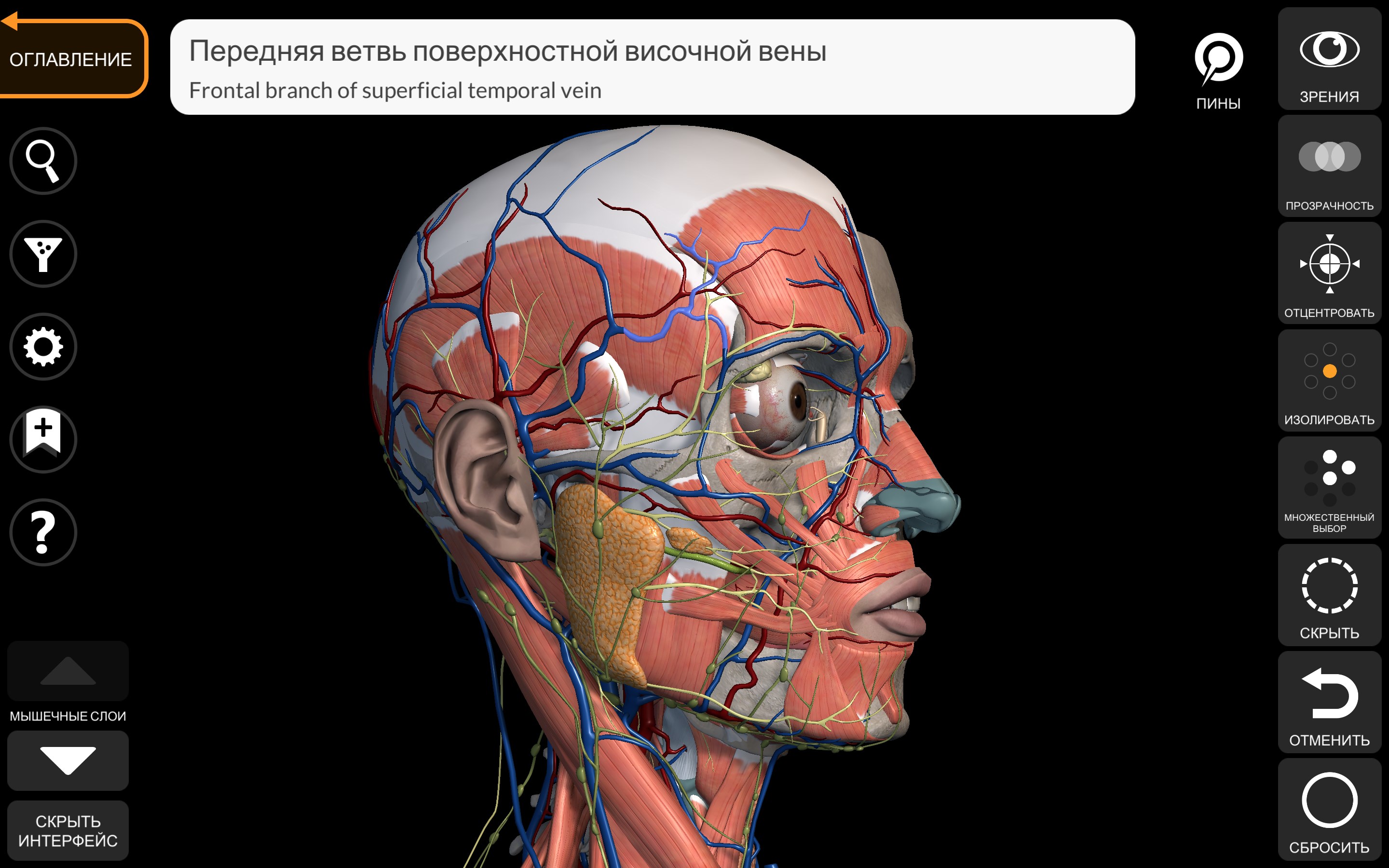 3d анатомия программы. Альтернативная анатомия.