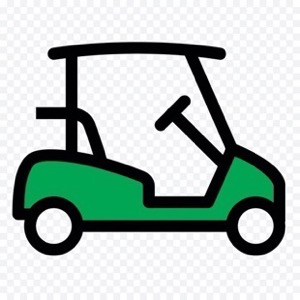 golf buggy store