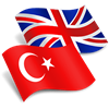 Turkish - English Translator