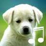 Puppy Sounds:Calming Music For Relaxation and Mind Therapy