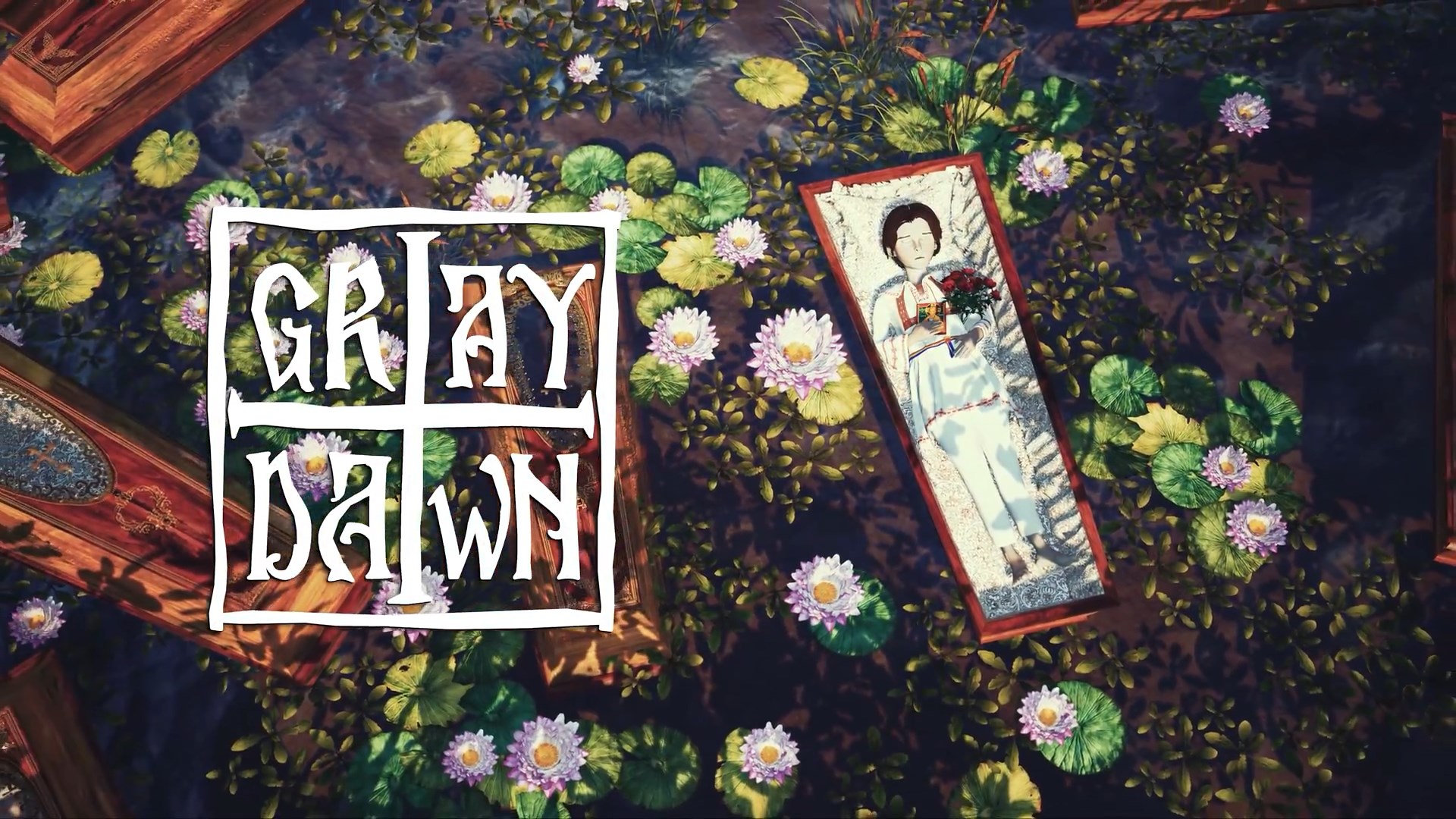 David's Disappearance