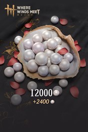 Where Winds Meet-12000 Echo Beads