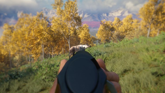 theHunter: Call of the Wild - Weapon Pack 3 - Windows 10 screenshot 3