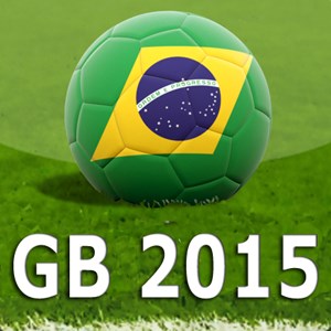 Guia Brasileirão 2015