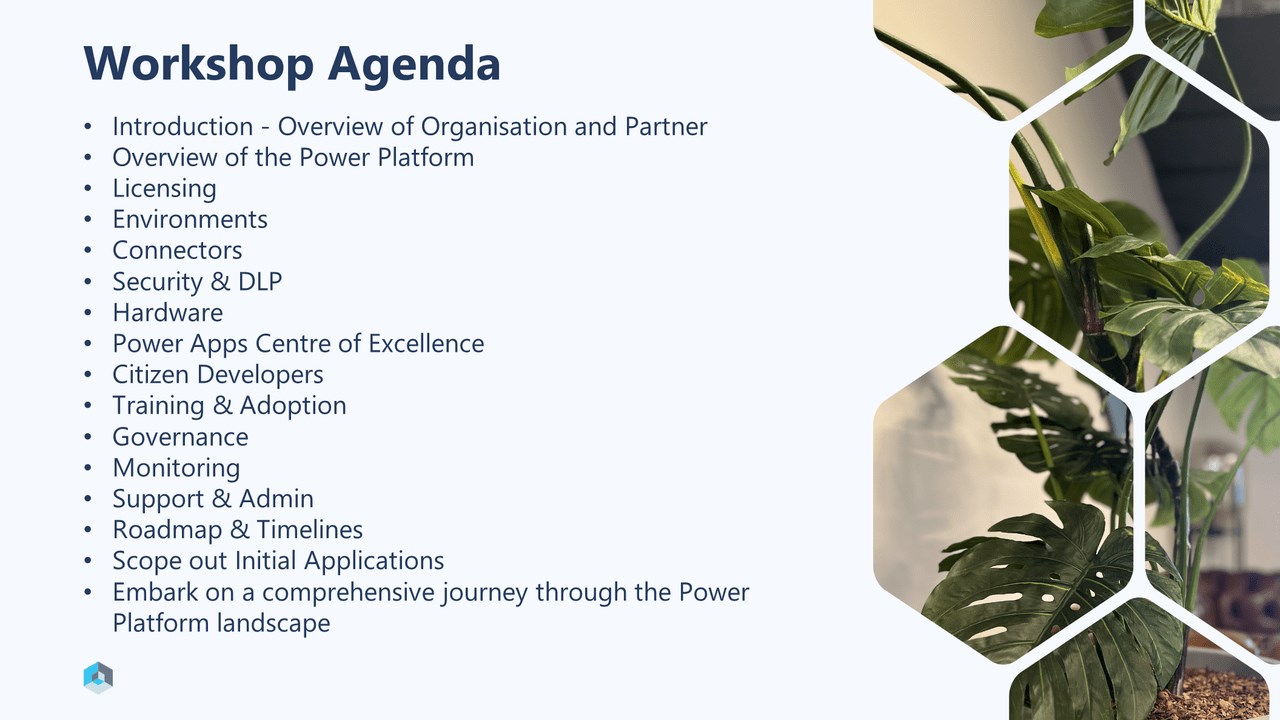 Snapshot 4 of Power Platform Strategy: 1 day Workshop