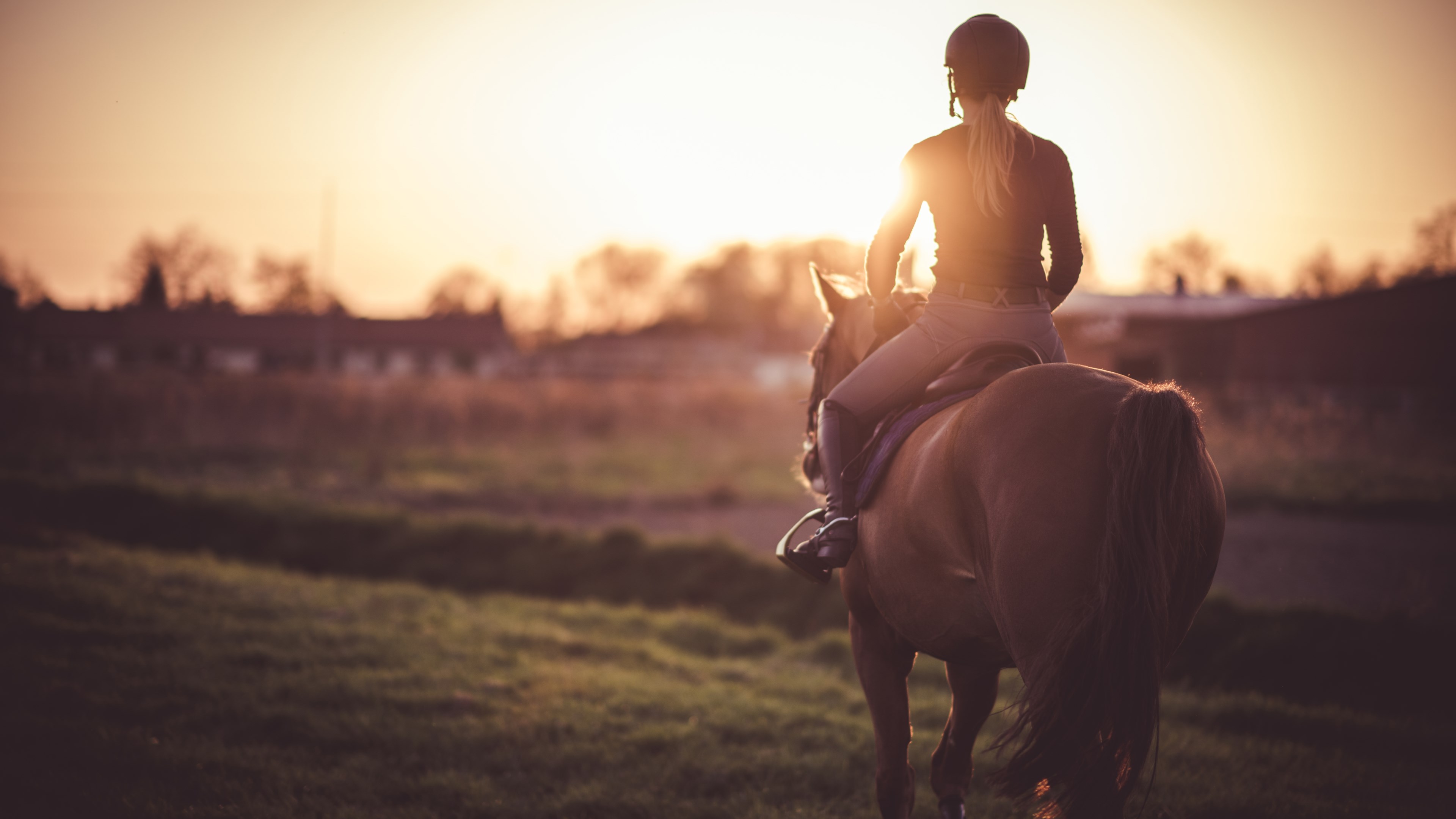 Stable Stories - Forest and Meadow Ride 遊戲主視覺圖，展現卡通風格的騎馬冒險