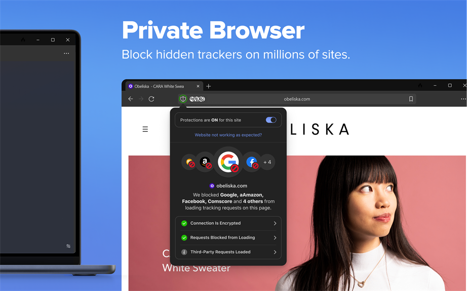 DuckDuckGo, Duck.ai (optional)_3