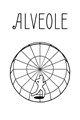 Alveole