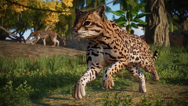 Planet Zoo: Americas and Asia Bundle screenshot 4