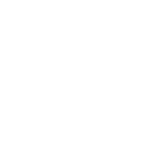 Mani Calendar Budget