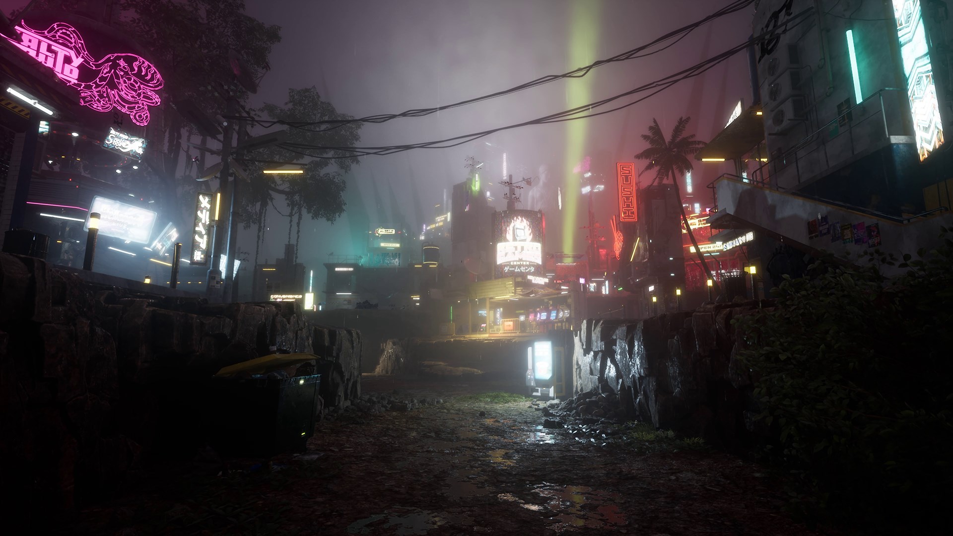 Drizzlepath: Picturae screenshot thumbnail video