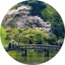 Shinjuku Gyoen Wallpaper New Tab icon