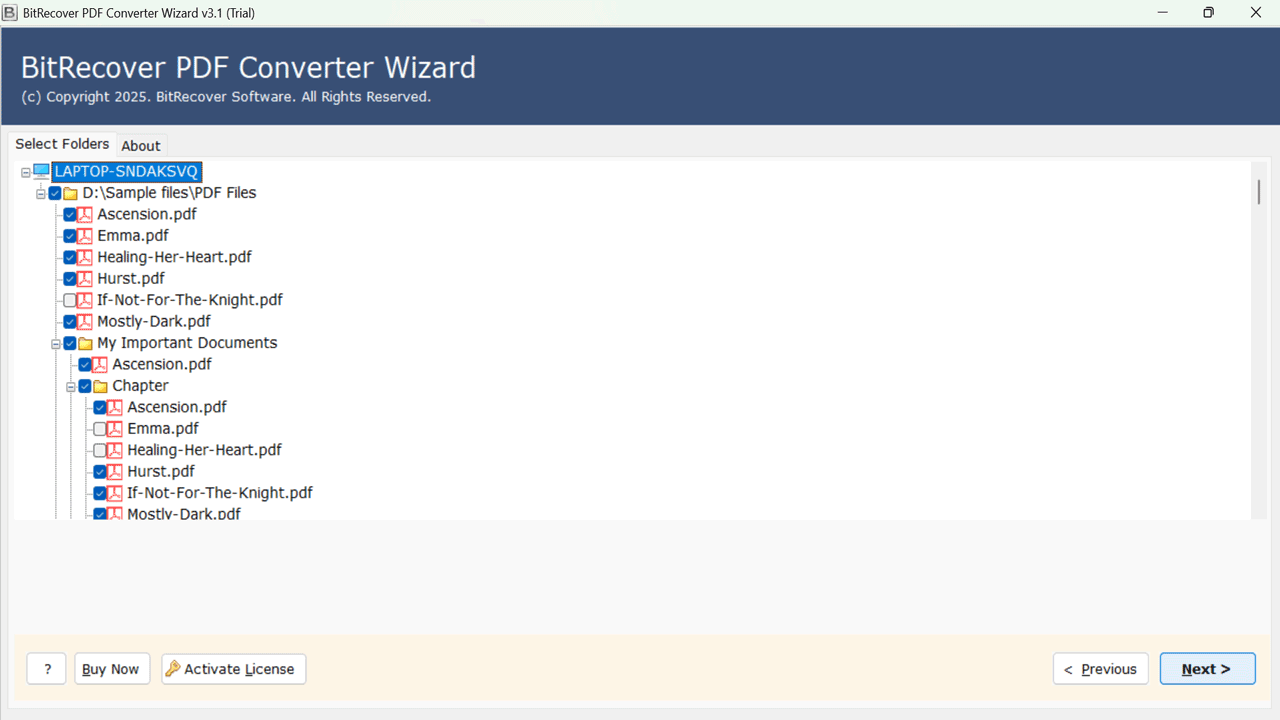 Snapshot 3 of BitRecover PDF to HTML Converter